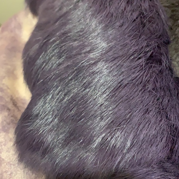 Coat perfect condition size L running smaller - Picture 11 of 11